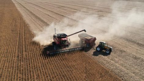 La economía volvió a crecer de la mano del campo