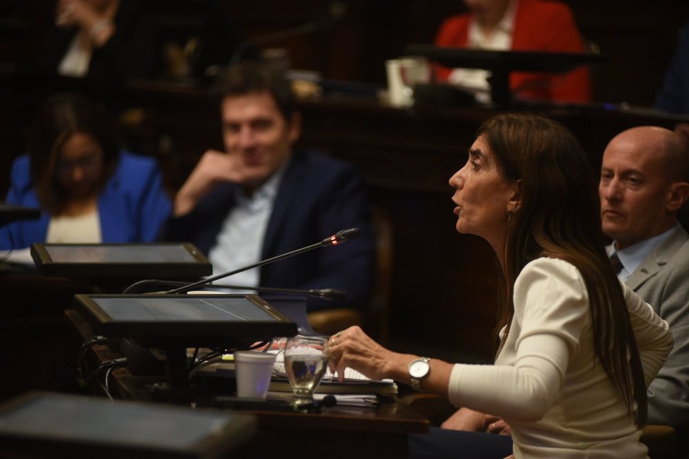 La senadora Natacha Eisenchlas (UCR).&nbsp;