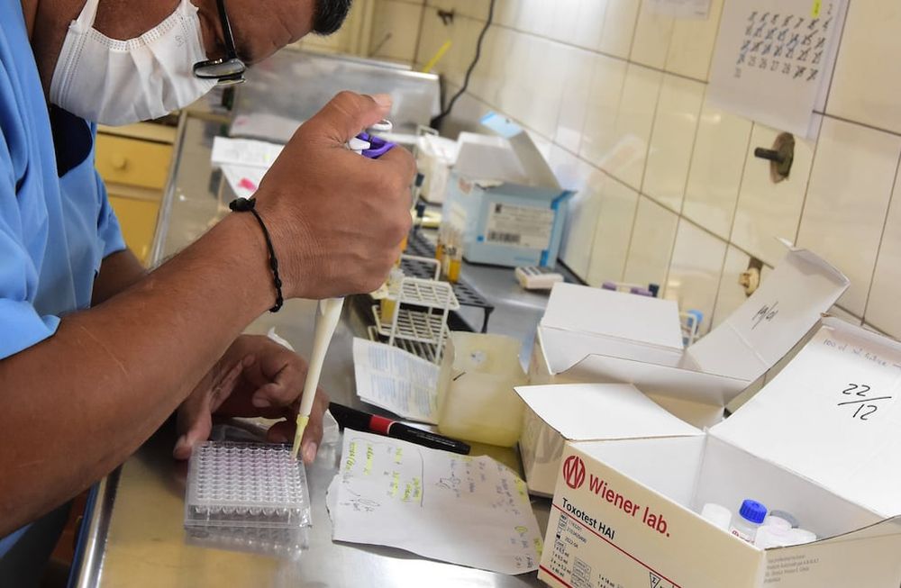 El personal de salud asegura que no da a basto en los centros de testeos. En la imagen, Roberto Serrano durante la practica del hisopado para detectar Covid 19Foto: Mariana Villa / Los Andes