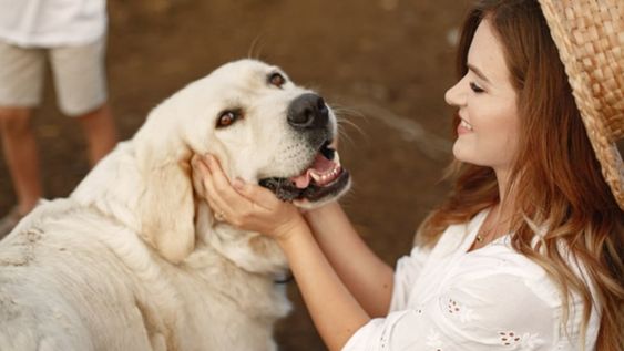 Mao Mao, el perro que no quiere abandonar a su mejor amigo que está conectado a un respirador