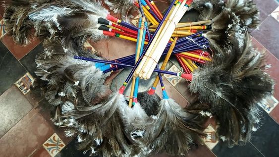 Los plumeros confiscados. Gentileza Ministerio de Seguridad.&nbsp;