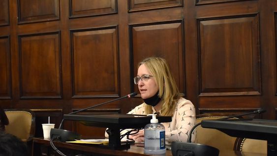 La discusión por la cuestión de privilegio de Hebe Casado luego de la comparación entre las 30 mil muertes a causa del Covid-19 y los desaparecidos en la dictadura se llevó media jornada.