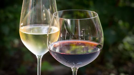 El precio del vino aumentó casi un 300% en el último año. Cómo impactó en el consumo y qué pasó con las bebidas sustitutas.