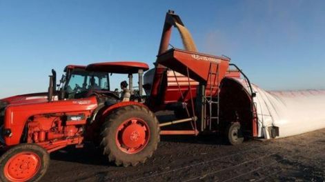 Los Andes | LFTXLLDX6BFI3NVAU3MEMWOI5E.jpg?quality=75&smart=true&auth=1b29fe98a05d002a217b47210494af347b03b45216a222f57f56856f85fcbb2f&width=980&height=640