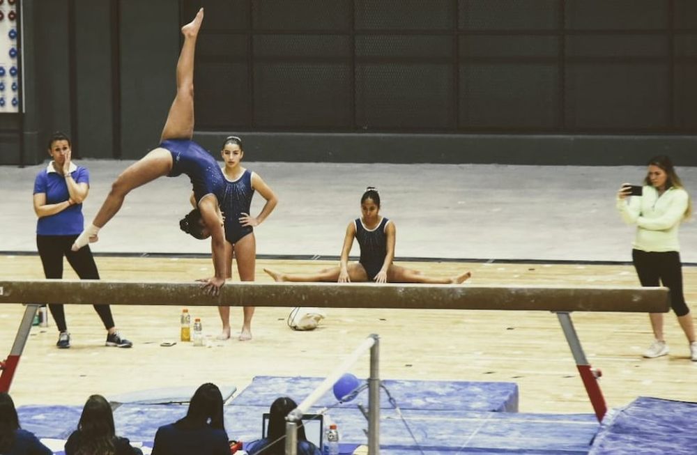 El Campeonato Nacional Federativo de Gimnasia Artística Masculina y Femenina, se realizará del 6 al 12 de noviembre en el estadio Aconcagua Arena. / Gentileza.