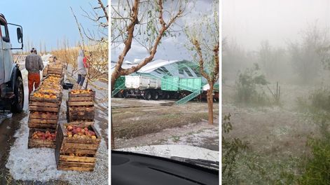 Una violenta tormenta se registró durante la tarde de este lunes en Real del Padre y provocó graves destrozos.