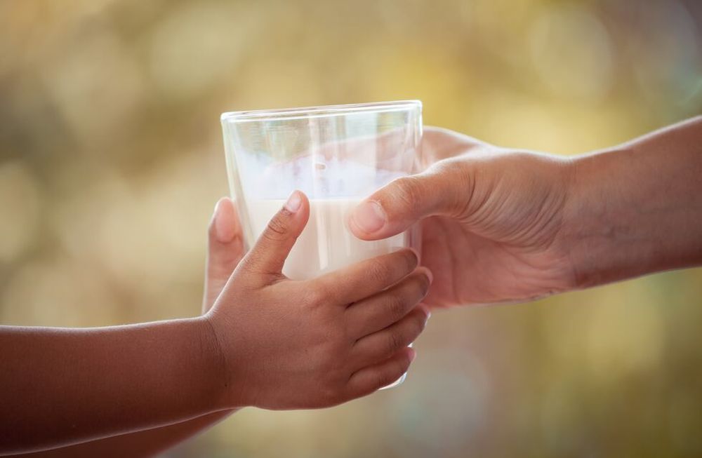 Valores que Alimentan: en formato virtual, llega la cena anual de Banco de Alimentos Mendoza y Valos