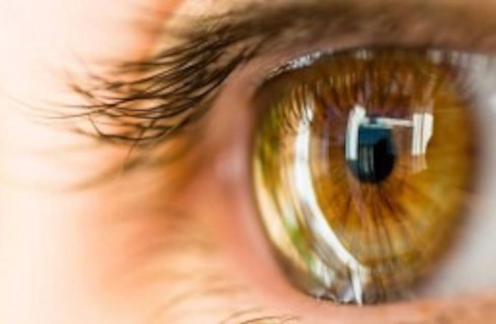 Nuevo avance científico en trasplante de córneas