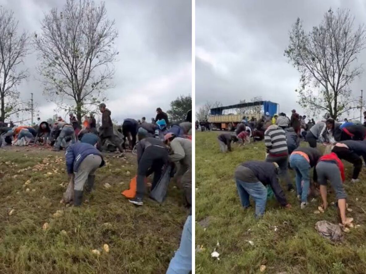 Un camión cargado con papas volcó en Tucumán y los vecinos arrasaron con la carga.