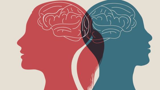 Los cerebros de hombres y mujeres se organizan de forma diferente, según un estudio con inteligencia artificial