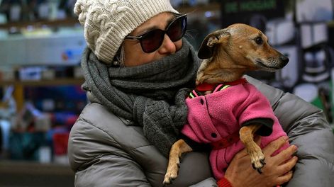 El frío se instala en Mendoza y habrá temperaturas bajo cero en las mañanas. | Foto: Orlando Pelichotti / Los Andes