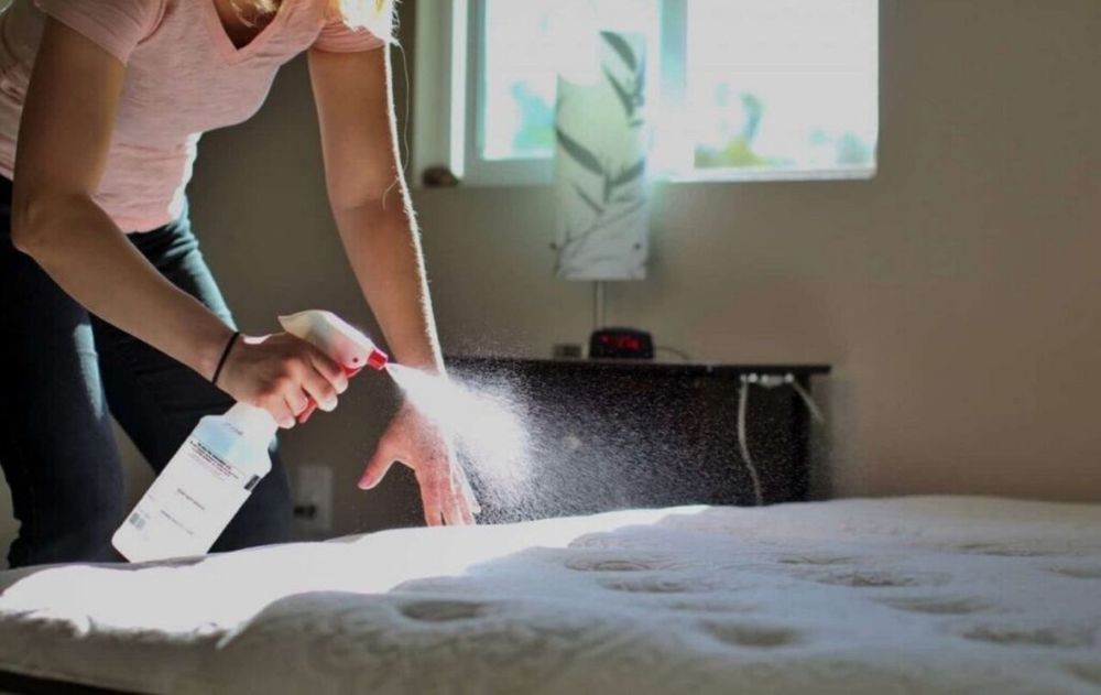 Esta mezcla, además, ahuyenta diferentes insectos y no necesita de químicos agresivos que afectan la salud o el ambiente.