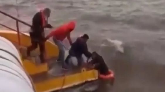 Los náufragos fueron encontrados desde un buque carguero en la “Zona Común” del Río de la Plata. En las cercanías de ellos se encontró un cadáver.