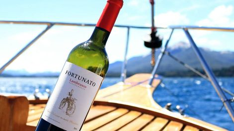 Guarda 14 | IVQV4YW73ZEKXGXHZQVLKWRMOY.jpg?quality=75&smart=true&auth=db5e7ab1b7ad66908e23b59f9c28b687ca0583ab578da30fc2b90dc86fec8008&width=980&height=640