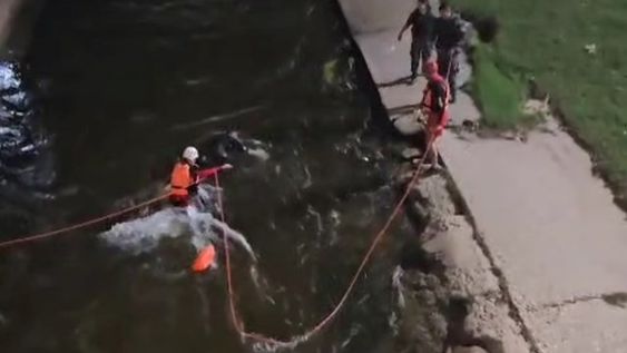Robó una moto, se arrojó al cauce del río y nadó varios kilómetros hasta que fue detenido