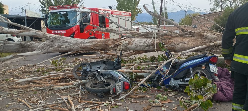 Un motociclista murió y otro resultó herido tras la caída de un árbol por el Zonda en Las Heras
