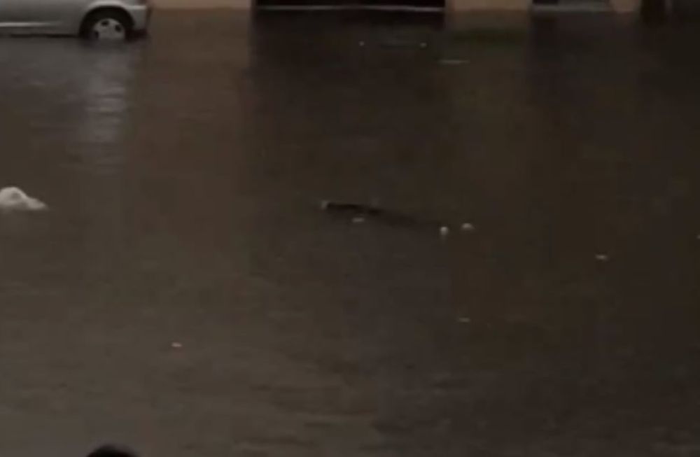 Diluvio en Buenos Aires: vio un cuerpo flotando desde la ventana de su casa y lo reportó en sus redes