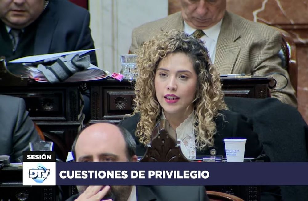 La diputada Lourdes Arrieta. Captura de video.
