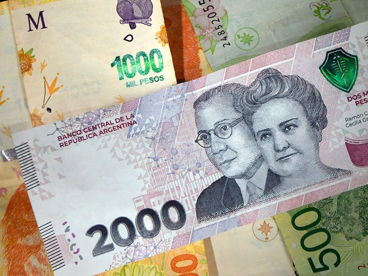 Voucher educativo, imagen ilustrativa. Foto: Orlando Pelichotti