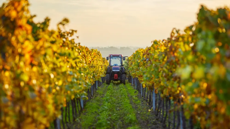 Extendieron el plazo para actualizar el RUT y poder acceder a beneficios para el agro