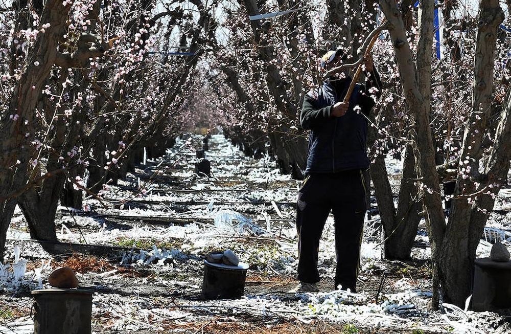 El 31 de agosto vence el plazo para adherir al seguro agrícola