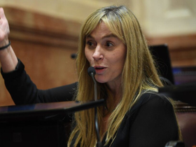 Ley de Propiedad Privada: el llamativo posteo de Juliana Di Tullio tras la sesión en el Senado