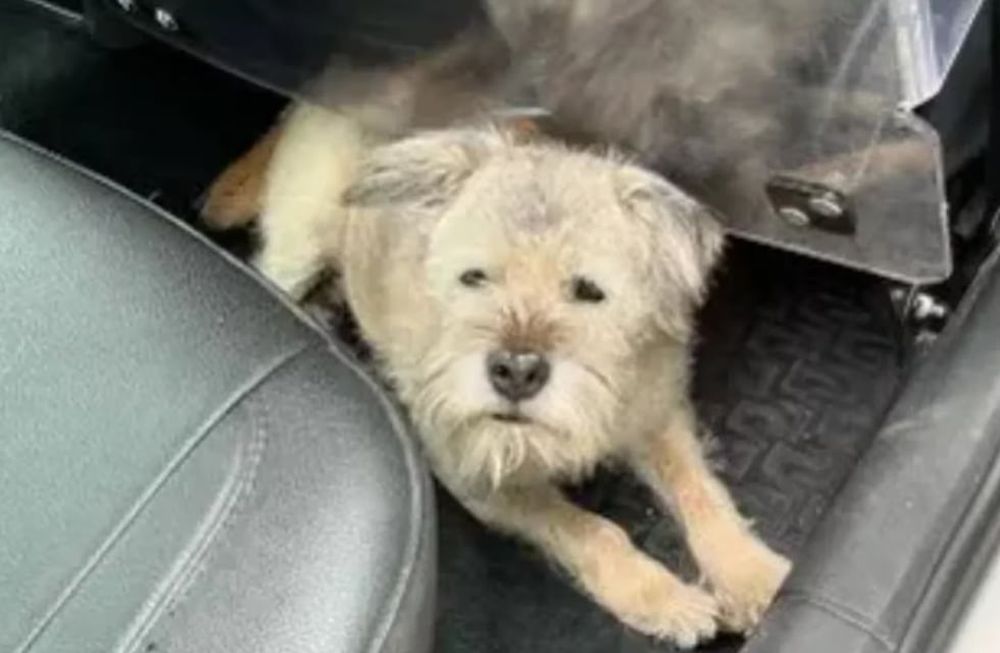 Así fue encontrada por la policia de Ginebra