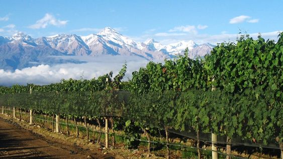 ¿Mendoza agotó su matriz productiva?