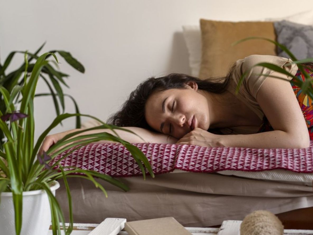 Incorporar esta planta a espacios como el dormitorio suele ser valorada por su estética y sensación que transmite.
