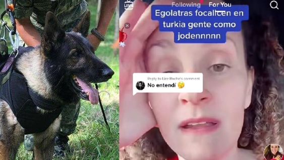 El video se viralizó en redes y la argentina lo borró.