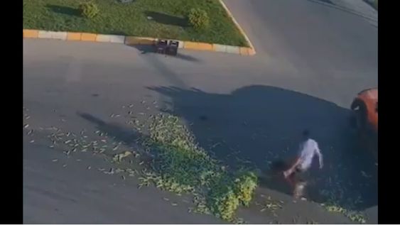 Video conmovedor: se le cae un cargamento de chauchas en el medio de la calle y pasa algo inesperado