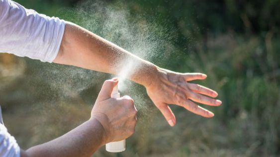 Este aceite se destaca como una opción interesante tanto para uso corporal como ambiental.