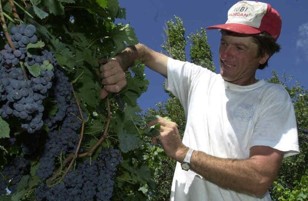 Coninagro: “Tomar al agro como un mero proveedor de dólares es desvalorizar al sector”