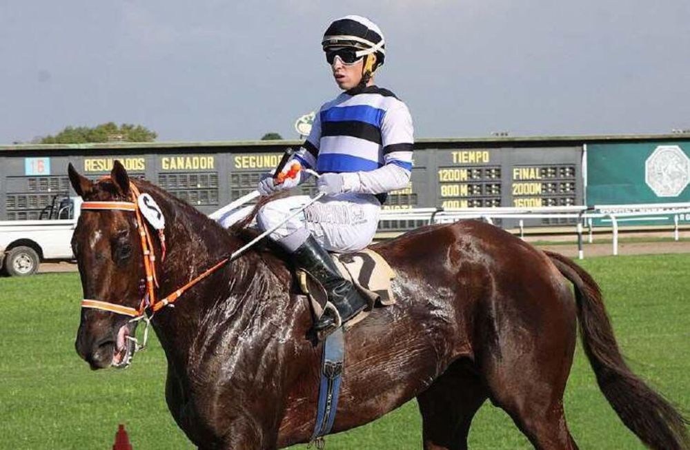 Turf: en la recta final