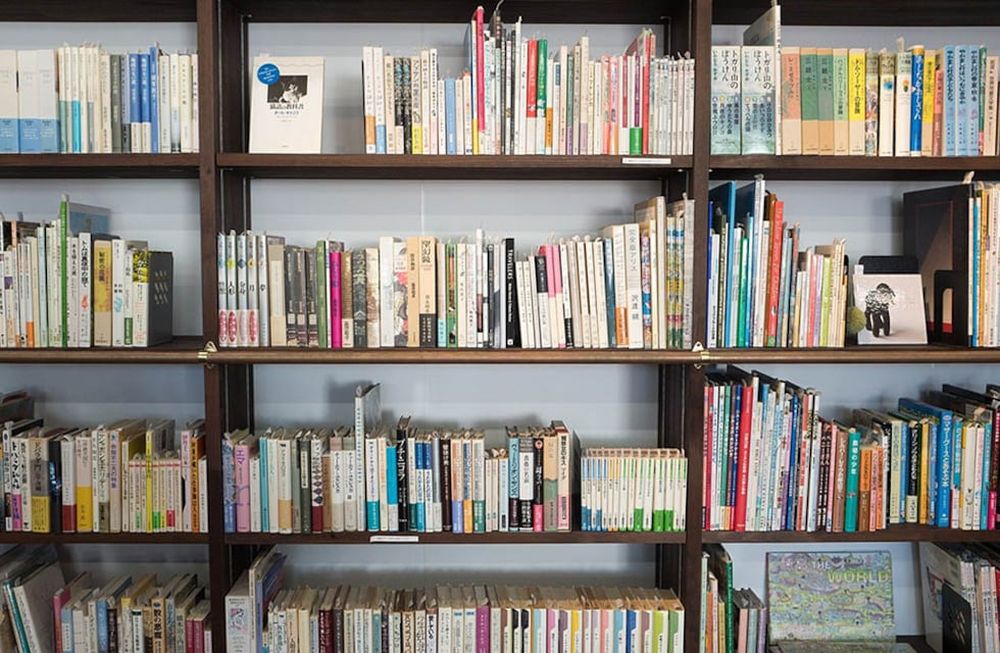 El estudio de varias académicas mendocinas ha contribuido a darle fisonomía al panorama literario de Mendoza. Foto: Pixabay / Grupo Edisur