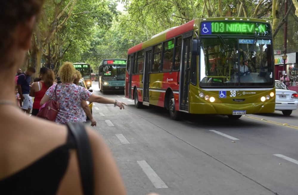 Desde hoy actualizan las frecuencias de colectivos en Mendoza: cuáles son y cómo revisarlas