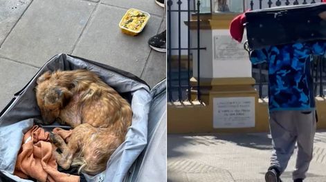 Ramón fue encontrado dentro de una valija cerrada junto a un contenedor de basura y su rescate quedó registrado en video.