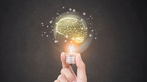 Los Andes | El Concurso de Ideas no sólo plantea un aporte dinerario a todas aquellas ideas seleccionadas, sino que también accederán a la oportunidad de ser evaluadas por expertos en la temática del INTA.