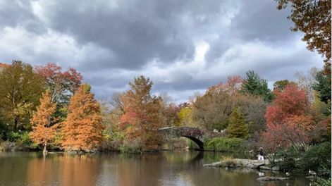 Nueva York en otoño