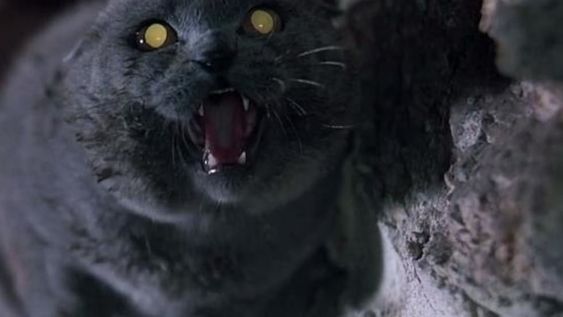 Halloween en streaming: tres planes para morirse de miedo entre cuatro paredes