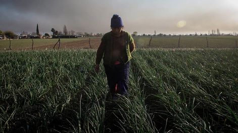 Guillermo Carmona: “Vamos a volver al crédito a tasa cero para el pequeño productor”