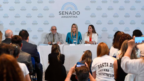 Los Andes | Los legisladores Carolina Losada (UCR) y Juan Carlos Pagotto (La Libertad Avanza) durante la jornada sobre falsas denuncias. Foto: Prensa Senado