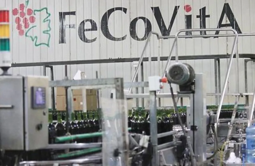 Fecovita eligió a su comisión directiva para los próximos tres años