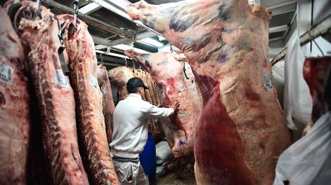 El incremento en la cantidad de animales faenados, junto con la proporción de hembras y el bajo peso al momento de la faena preocupan al sector. Foto: La Voz