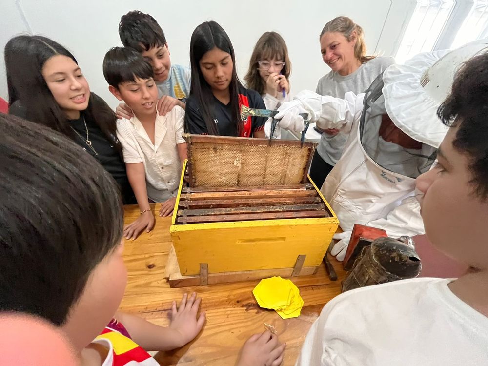 La sabiduría de las abejas en el aula: el taller educativo Absumbra en sexto grado, turno tarde, de la Escuela 1-280 Bernardo Quiroga, en Eugenio Bustos, San Carlos.  