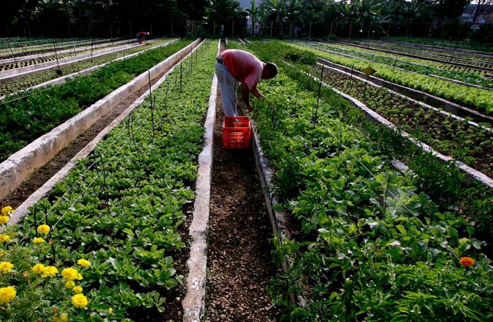 La provincia lanzó una línea de crédito para que las agroindustrias puedan financiar la compra de materia prima en hasta 3 años, con un período de gracia de 12 meses