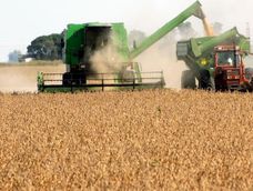 El agro prevé una liquidación exitosa este 2026. El agro prevé una liquidación exitosa este 2026.