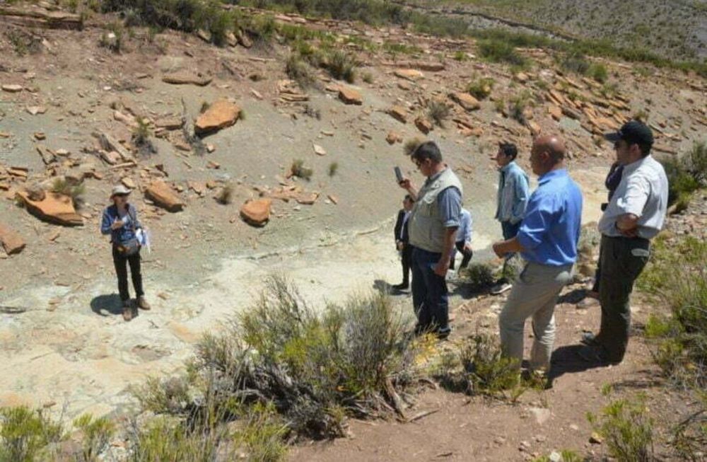 Activan el Parque de Huellas de Dinosaurios en Malargüe