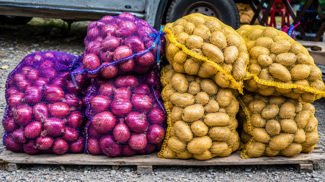 no tires las redes de papas y cebollas: el truco japones para el bano