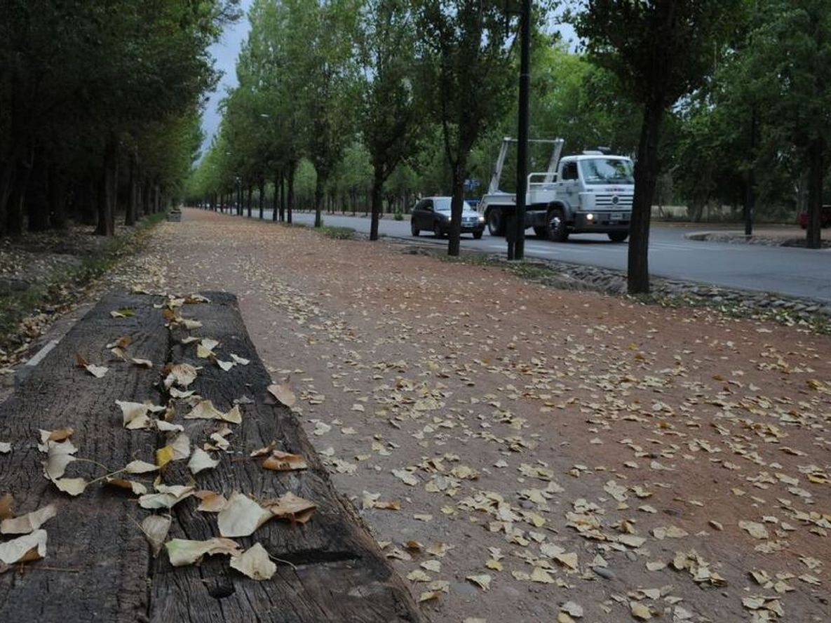 Este jueves entra un frente frío en Mendoza.